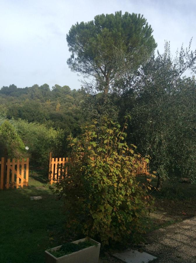 B&B Il Frassino Pérouse Extérieur photo