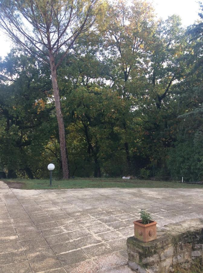 B&B Il Frassino Pérouse Extérieur photo