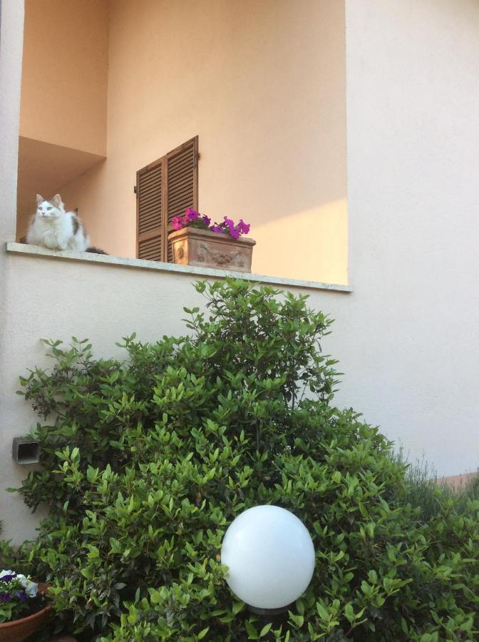 B&B Il Frassino Pérouse Extérieur photo