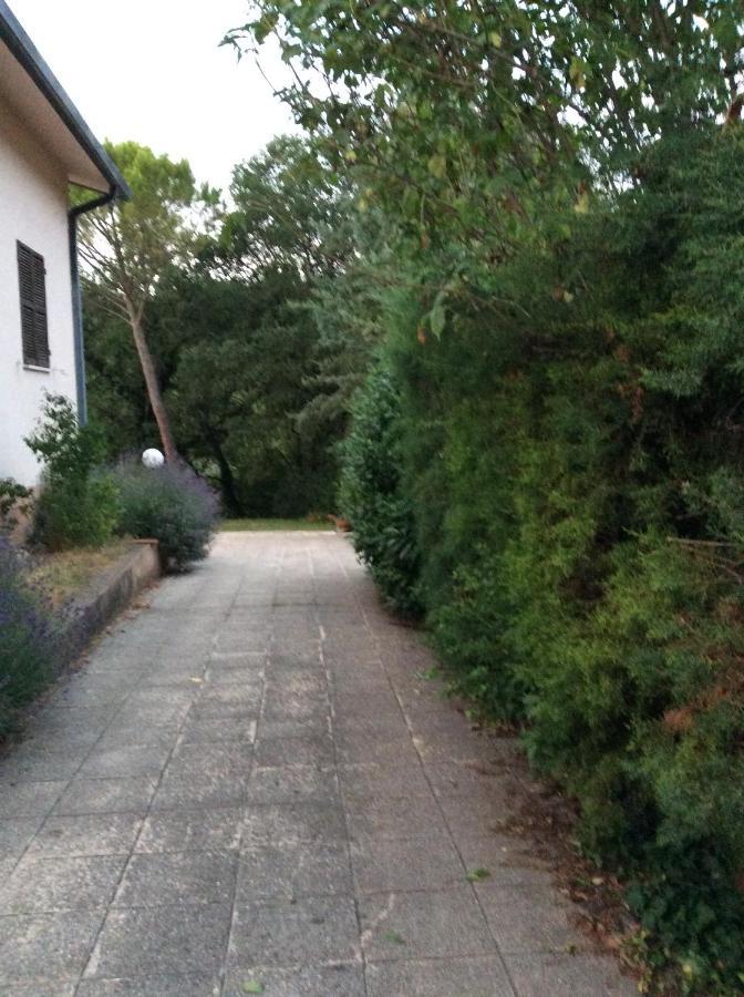 B&B Il Frassino Pérouse Extérieur photo