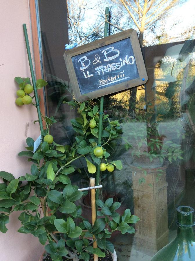 B&B Il Frassino Pérouse Extérieur photo