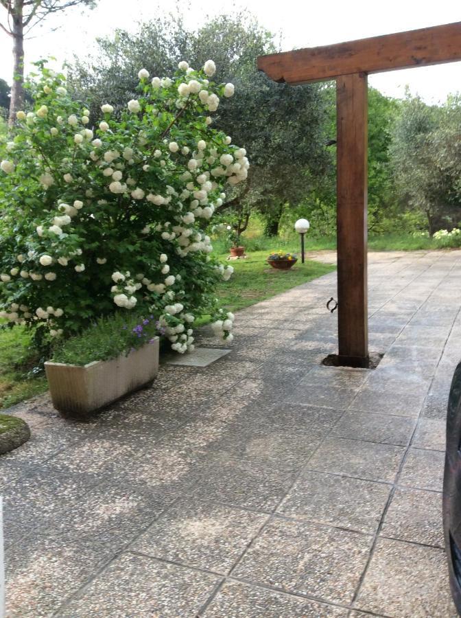 B&B Il Frassino Pérouse Extérieur photo
